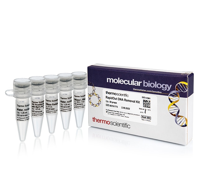 RapidOut DNA Removal Kit